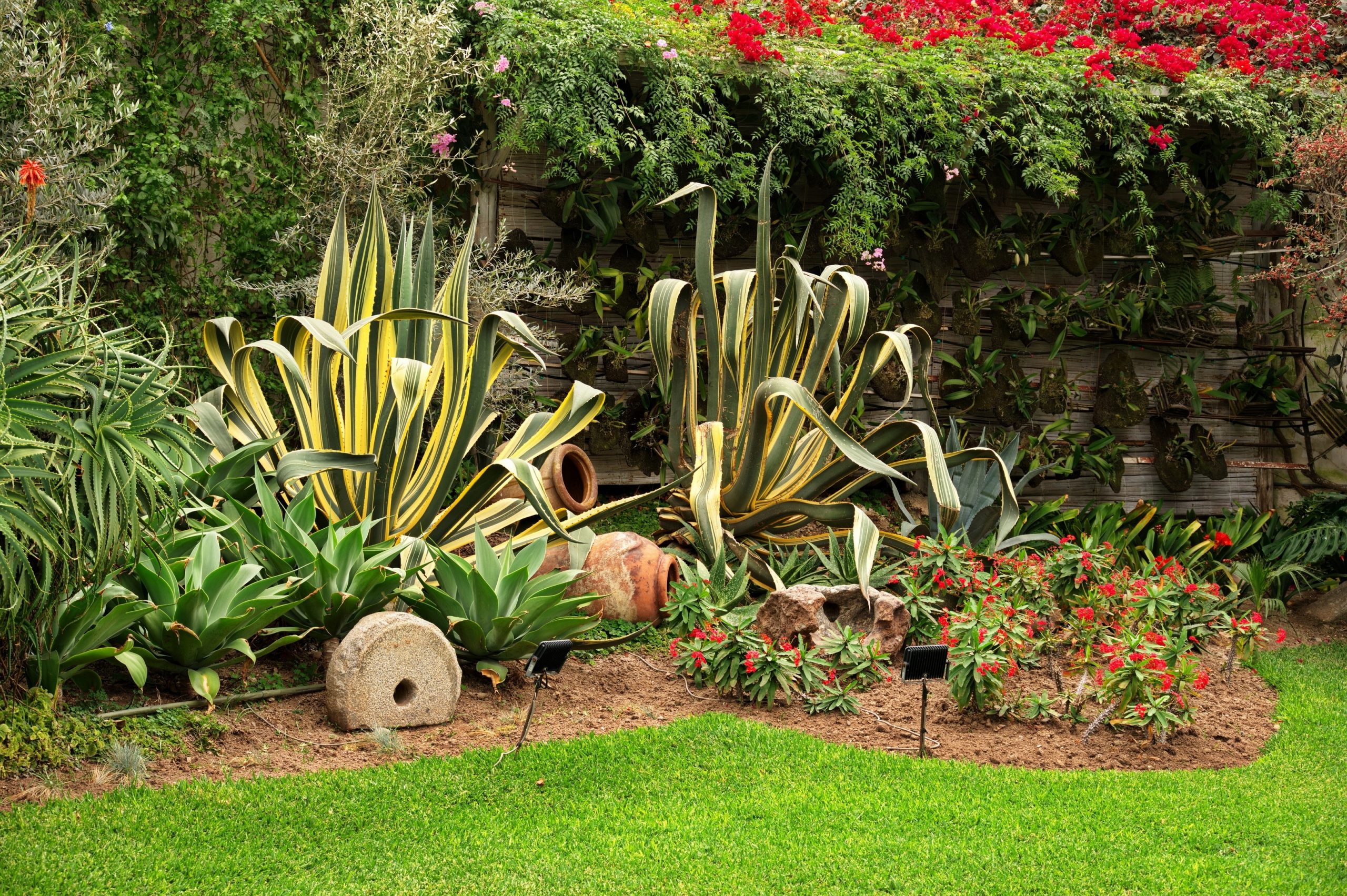 Tropical,Garden,With,Various,Flowers,In,Lima,,Peru