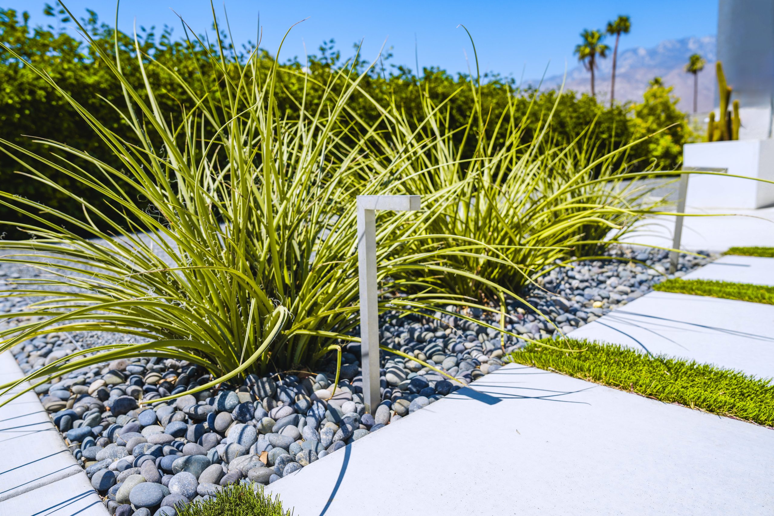 Drought,Tolerant,Landscaping,And,Path,Lighting,In,Palm,Springs