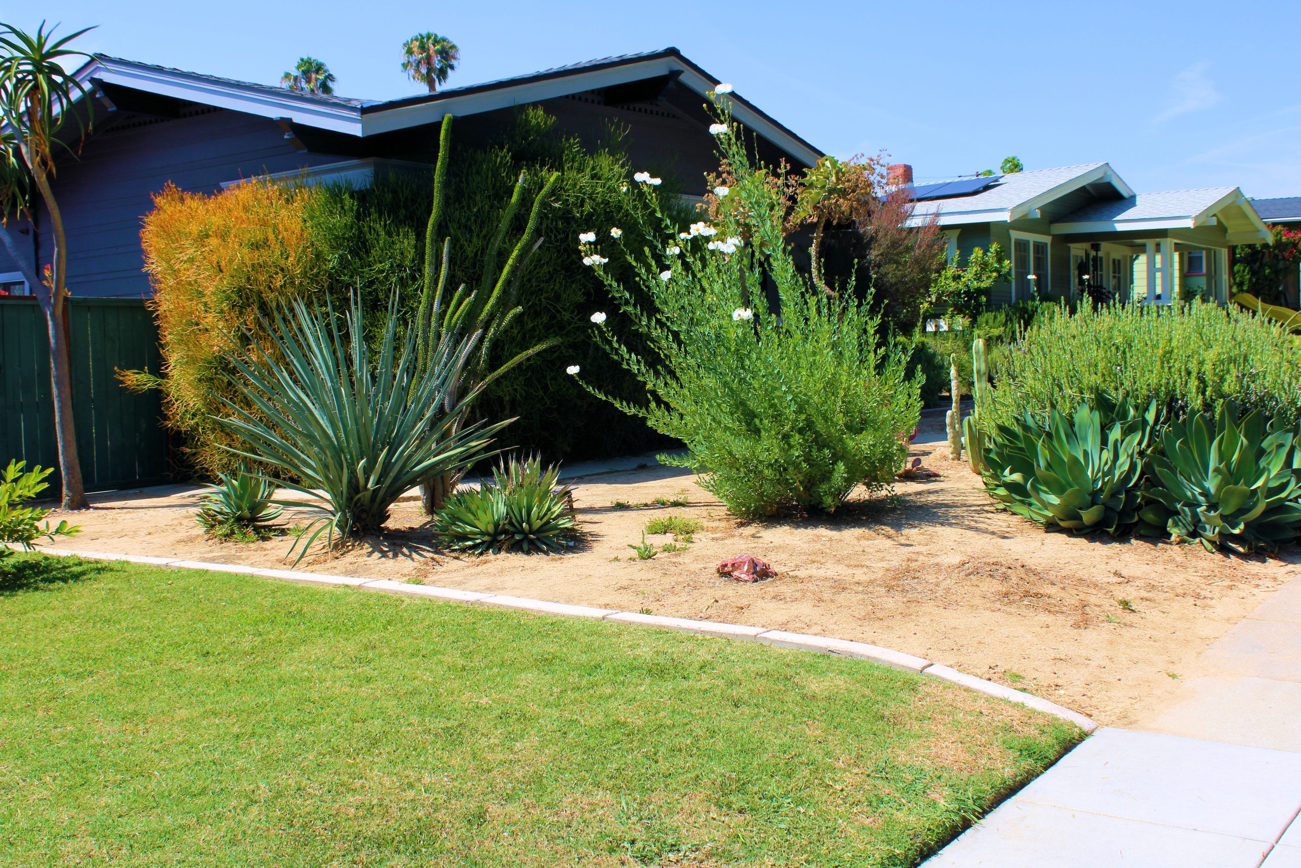 Historic,Craftsman,House,With,Cactus,And,Succulent,Plants,On,The