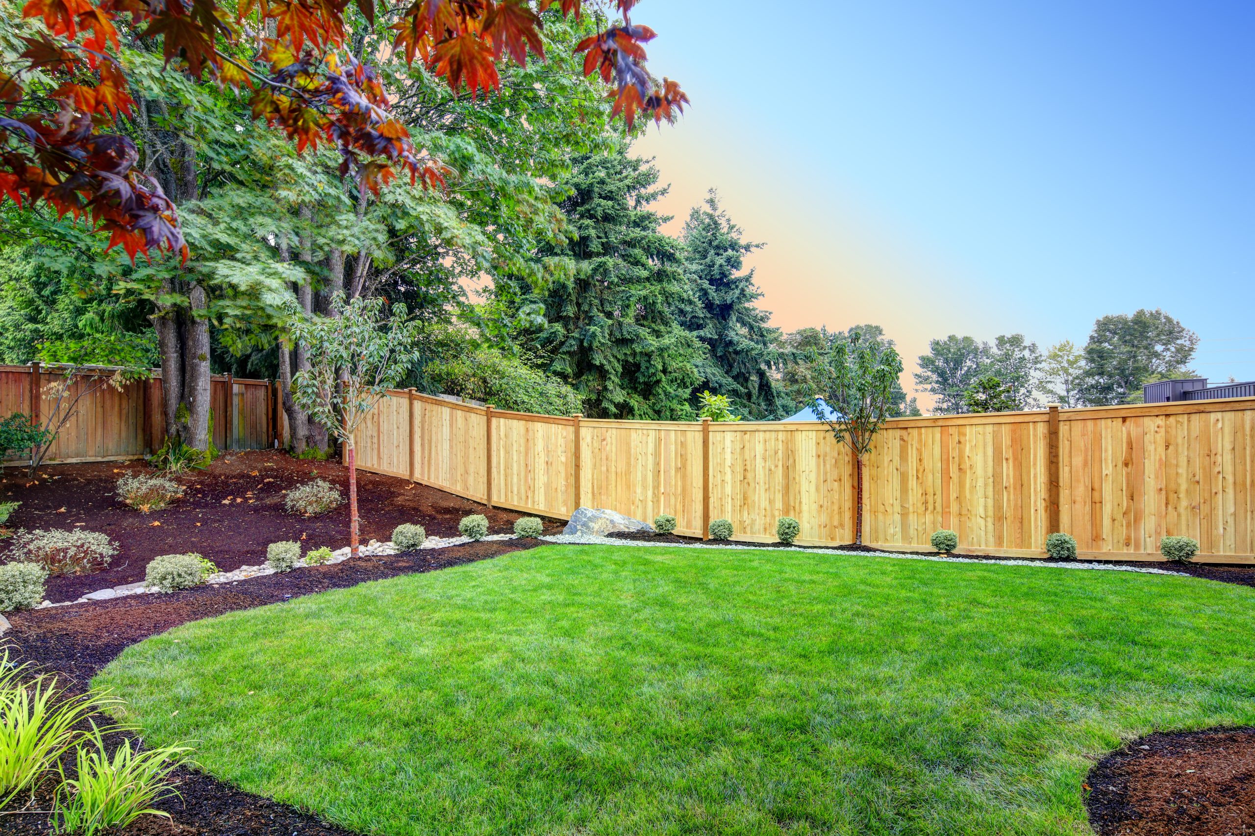 View,Of,An,Attractive,Backyard,With,New,Planting,Beds,And